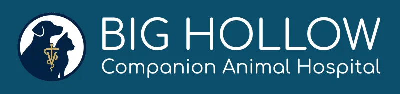 Big Hollow Companion Animal Hospital