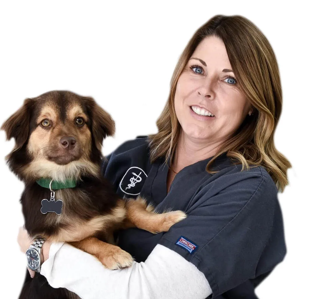 Smiling veterinary team member in dark scrubs holding a brown and tan dog