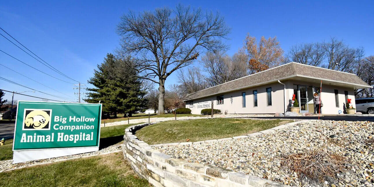 Big Hollow Companion Animal Hospital building with its green roadside sign