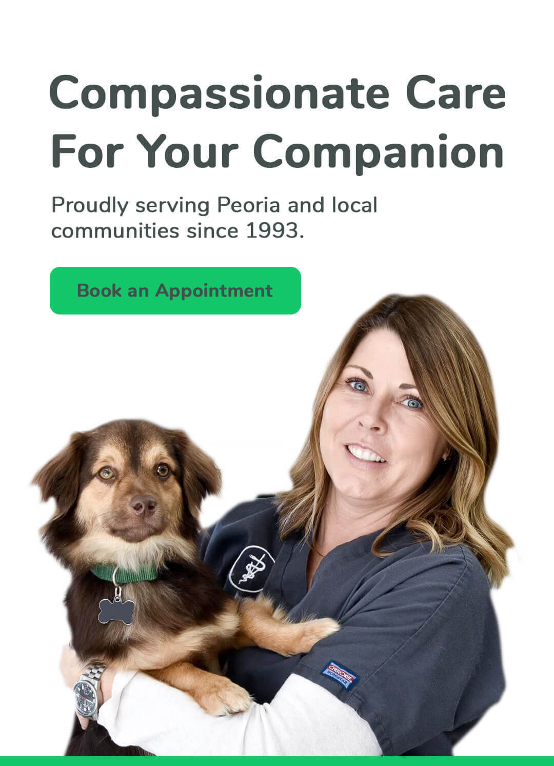 Compassionate care for your companion. Proudlly serving Bloomington-Normal, Illinois families since 1993.