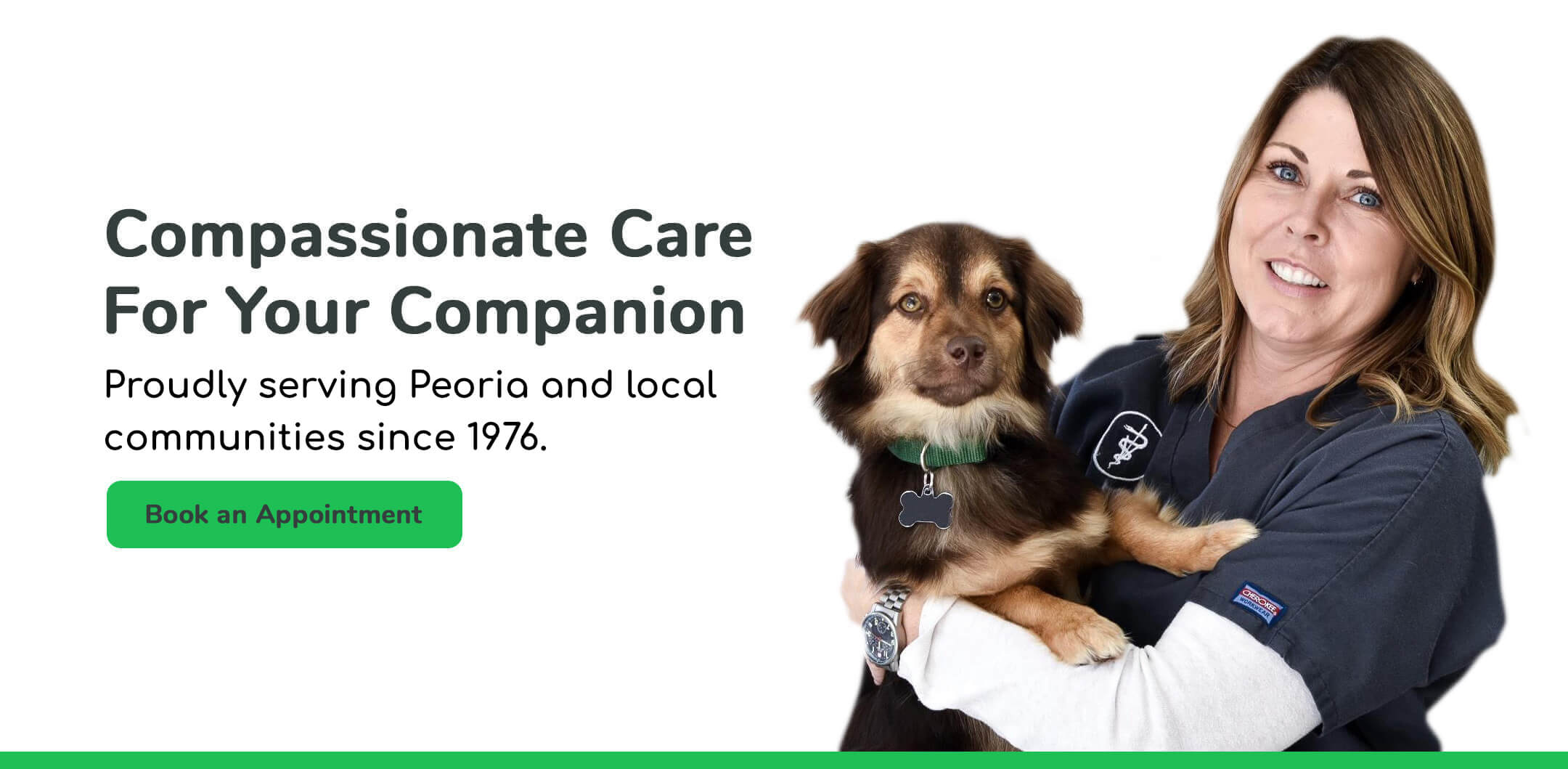 Compassionate care for your companion. Proudlly serving Bloomington-Normal, Illinois families since 1993.